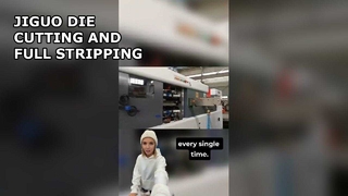 MESIN DIE CUTTING DAN STRIPPING OTOMATIS JIGUO (FULL STRIPPING)