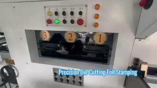 JIGUO TMY-800H Mesin Pemotong Mati & Stamping Foil Otomatis